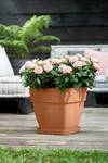 loft urban saucer square 22cm terra